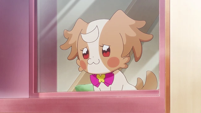 いろはを見送り寂しがるこむぎ