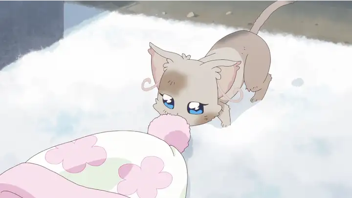 ユキがまゆの帽子に興味を示している様子